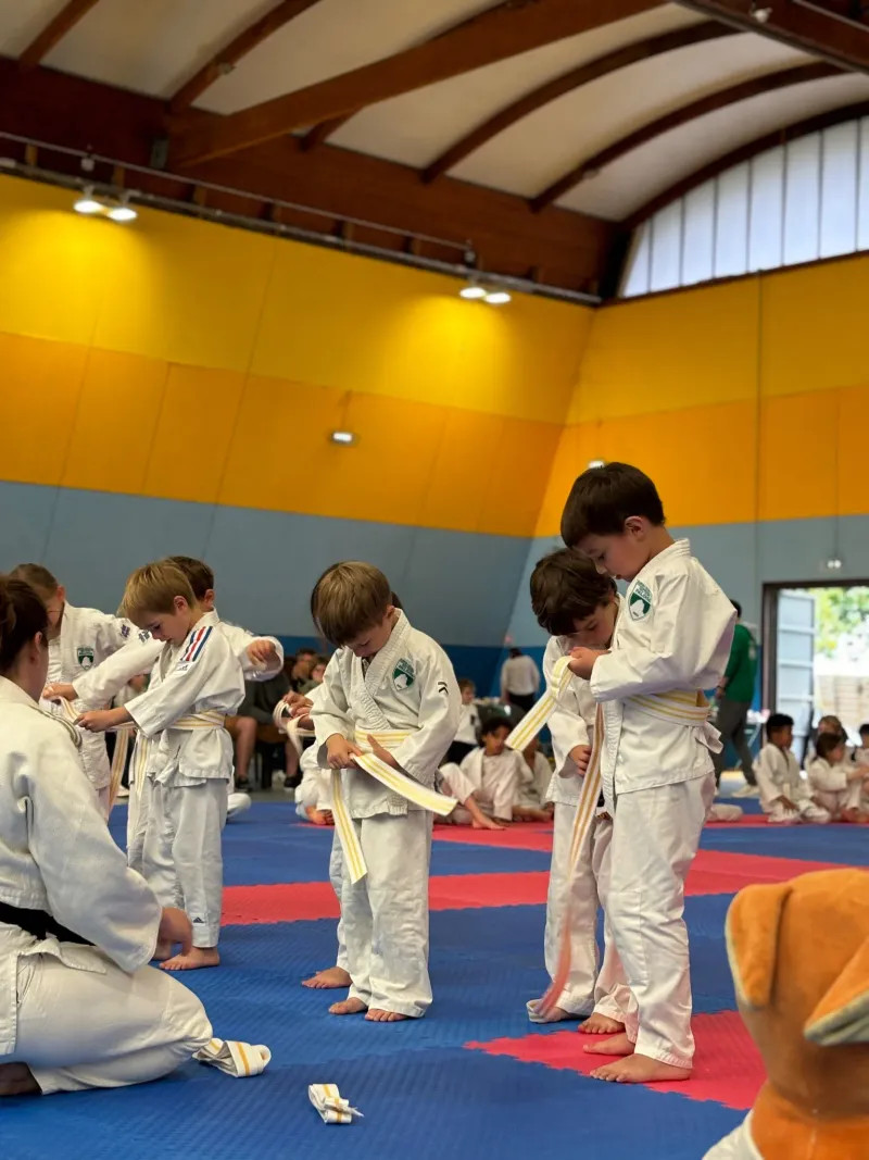 Cours de éveil judo — Section Paloise Judo JuJitsu à Pau
